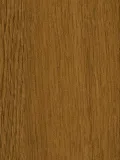Дъб Уинчестър